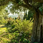 Residenza Lovely * Pesaro